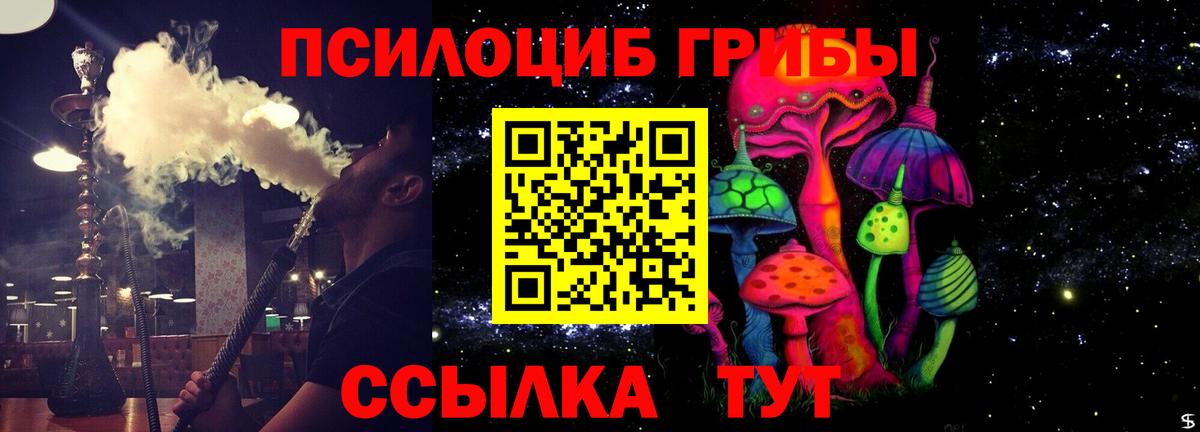 Галлюциногенные грибы Cubensis Фурманов