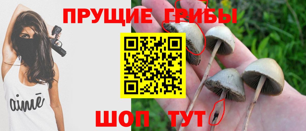 даркнет сайт  Галлюциногенные грибы MAGIC MUSHROOMS  Вход с VPN  Фурманов 